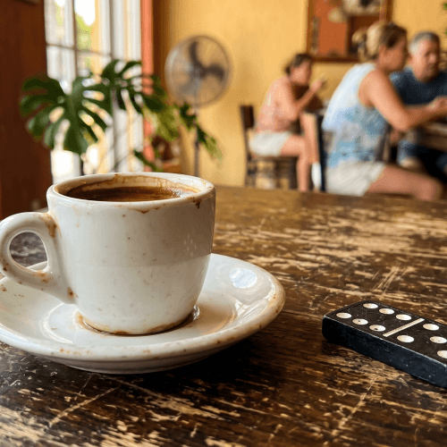 Little Havana avatar