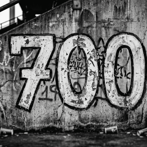 700 Level avatar