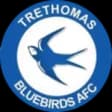 Trethomas Bluebirds