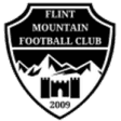 Flint Mountain
