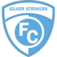 Silver Strikers