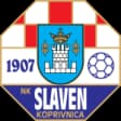Slaven Belupo