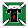 Deportes Temuco