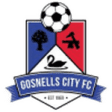 Gosnells City