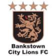 Bankstown City Lions
