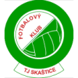 Skastice