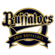 Orix Buffaloes