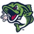 Gwinnett Stripers