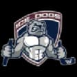 Sydney Ice Dogs
