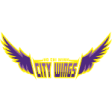 Ho Chi Minh City Wings