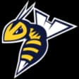 Edmonton Stingers