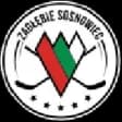 Zaglebie Sosnowiec