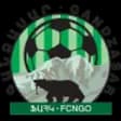 FC Gandzasar