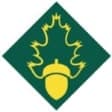 Forest Rangers