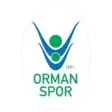 OGM Ormanspor