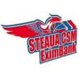 Steaua Bucuresti
