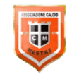 Mestre