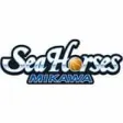 Seahorses Mikawa