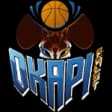 Okapi Aalst