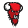 Bisons Loimaa