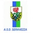 Seravezza Pozzi
