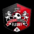 Fleury 91