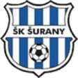 Surany