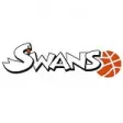 Swans Gmunden
