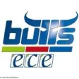 Kapfenberg Bulls