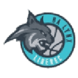 Lynx Liberec