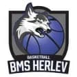 Herlev W