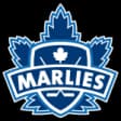Toronto Marlies