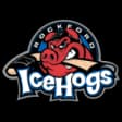 Rockford Icehogs