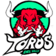 Toros Del Valle