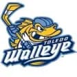 Toledo Walleye