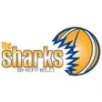 Sheffield Sharks