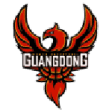 Guangdong W