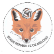 Stade Renard