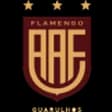 Flamengo SP U20