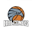Halcones