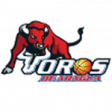Toros de Aragua