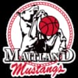 Maitland Mustangs