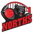 Norths Bears