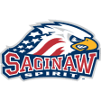 Saginaw Spirit
