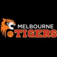 Melbourne Tigers