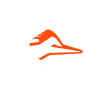 Correcaminos UAT II