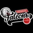 Falcons
