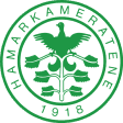 Hamarkameratene U19