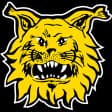 Ilves II W
