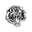 Northern Tigers W